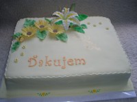 /album/fotogaleria-specialne-torty/dakovna-2-jpg/